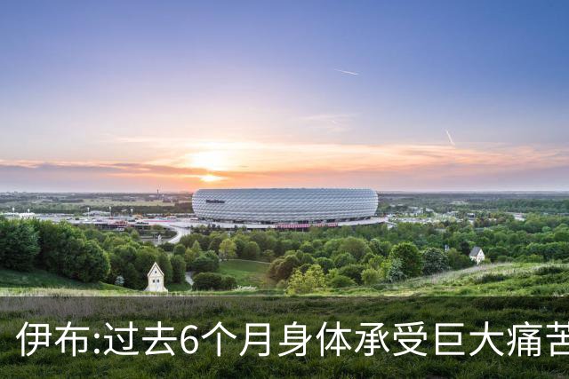 伊布:过去6个月身体承受巨大痛苦 只为帮球队夺冠